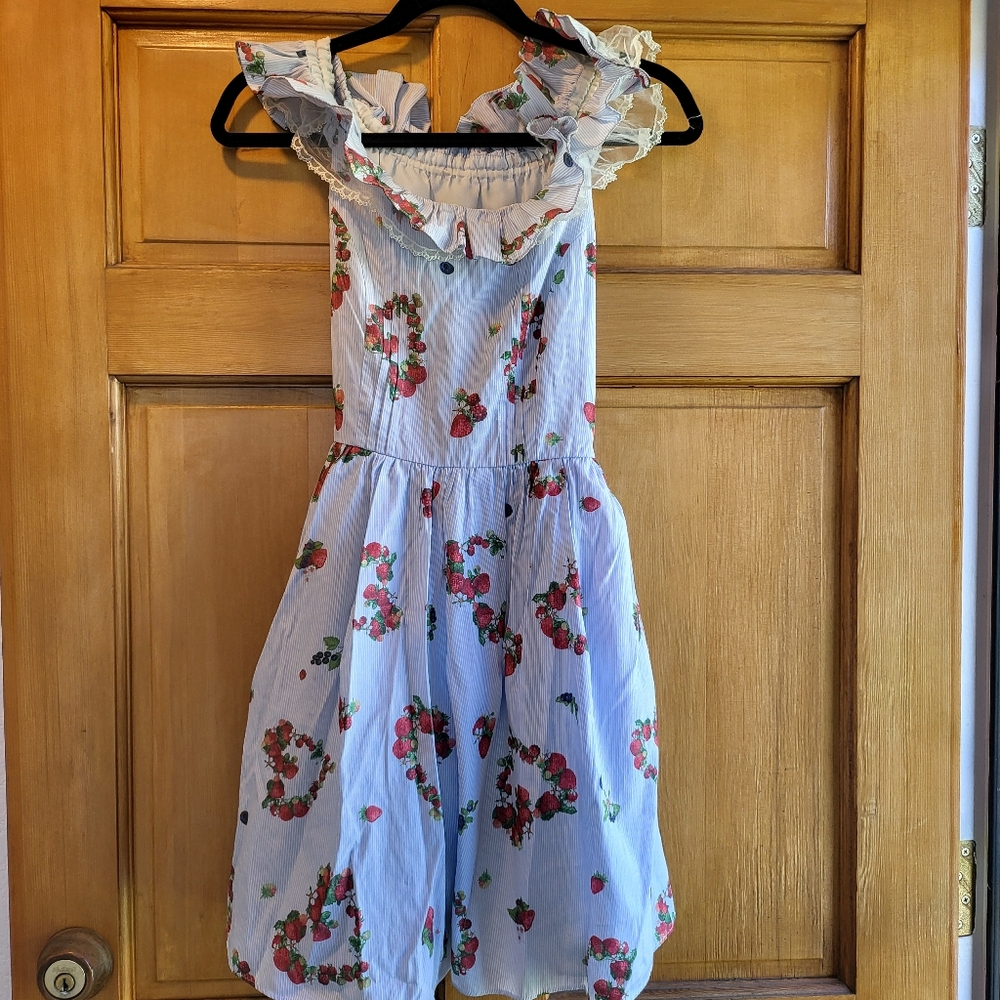 Secret Honey Blue Dress with Strawberries Size 2